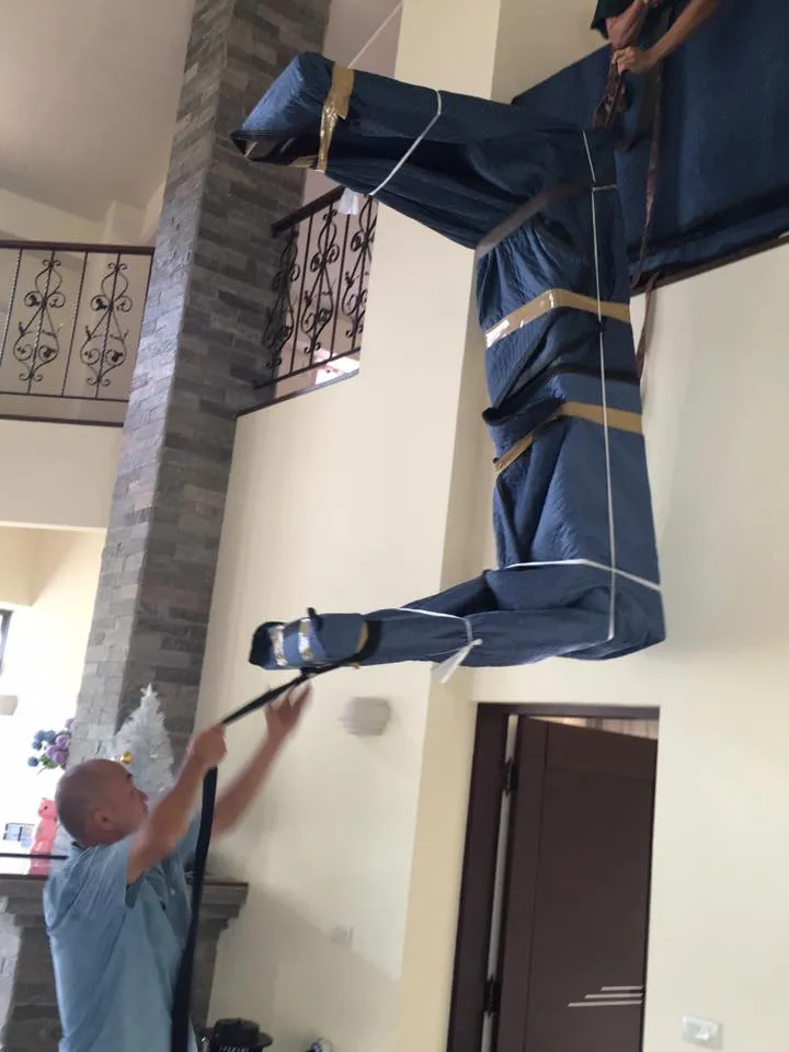 Local & Domestic Moves - 6