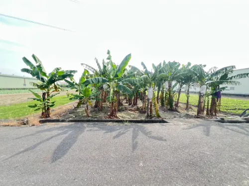 Agricultural land for sale in Daliao District, Kaohsiung City | NT$ 31 000 000 | 623 ping slide 3