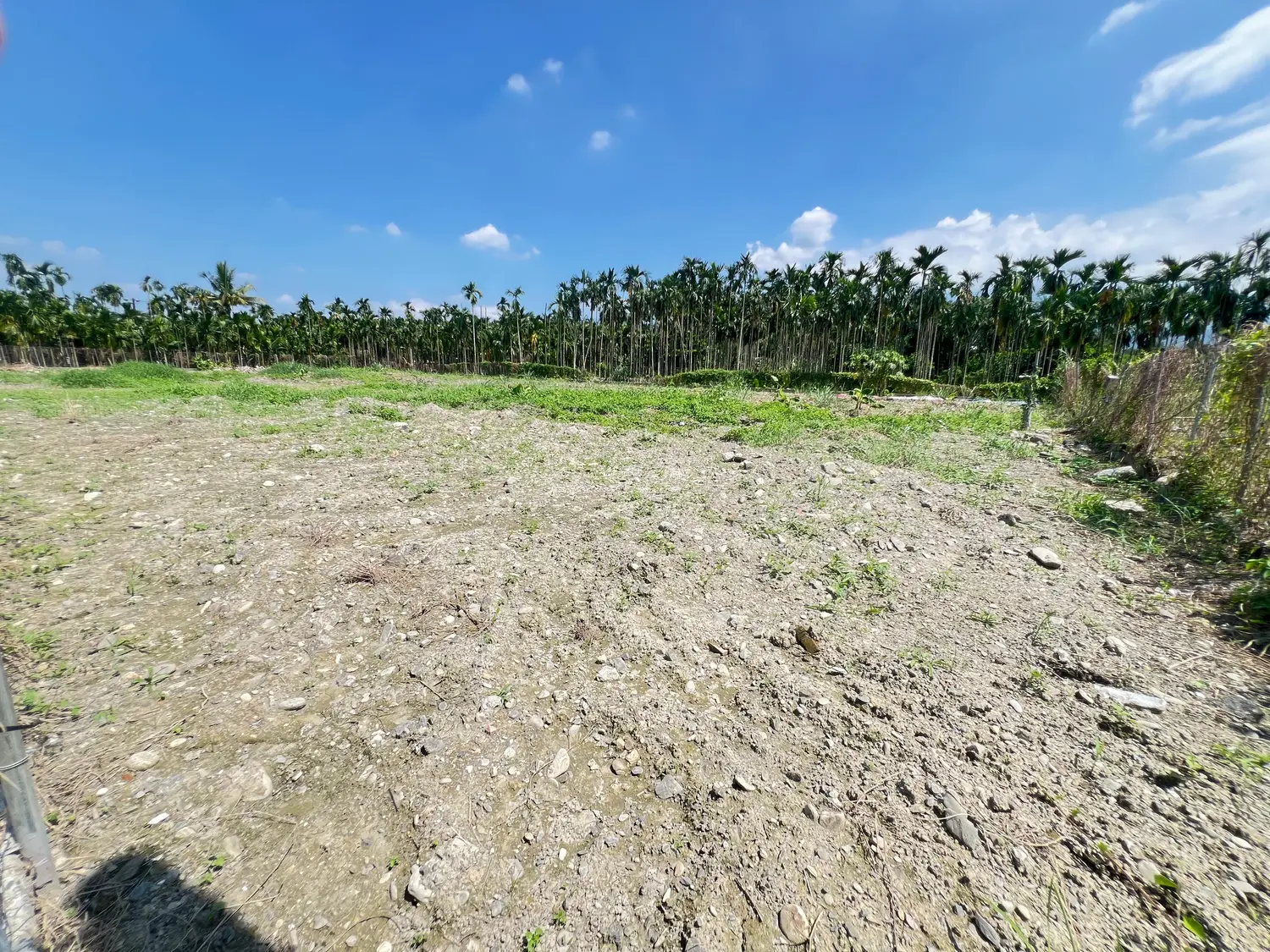 Agricultural land for sale in Neipu Township, Pingtung County | NT$ 12 000 000 | 828 ping slide 2