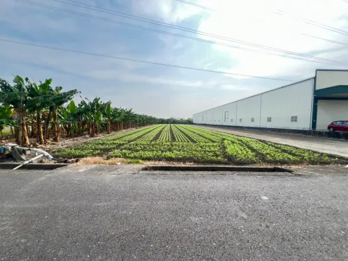 Agricultural land for sale in Daliao District, Kaohsiung City | NT$ 31 000 000 | 623 ping slide 1