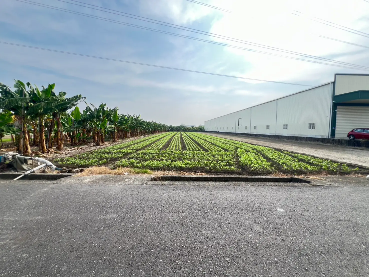 Agricultural land for sale in Daliao District, Kaohsiung City | NT$ 31 000 000 | 623 ping slide 1