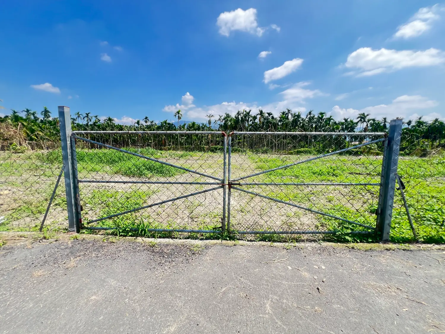 Agricultural land for sale in Neipu Township, Pingtung County | NT$ 12 000 000 | 828 ping slide 3