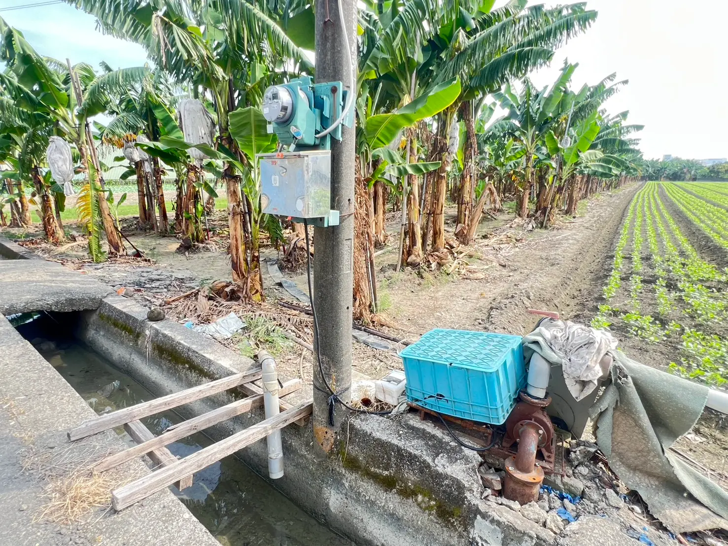 Agricultural land for sale in Daliao District, Kaohsiung City | NT$ 31 000 000 | 623 ping slide 5