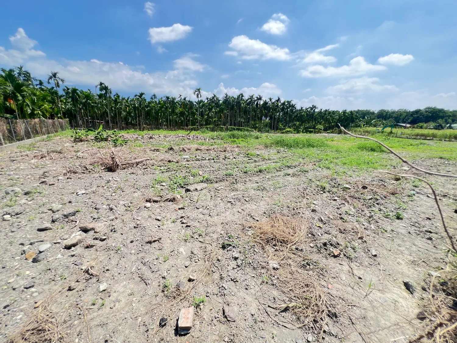 Agricultural land for sale in Neipu Township, Pingtung County | NT$ 12 000 000 | 828 ping slide 4