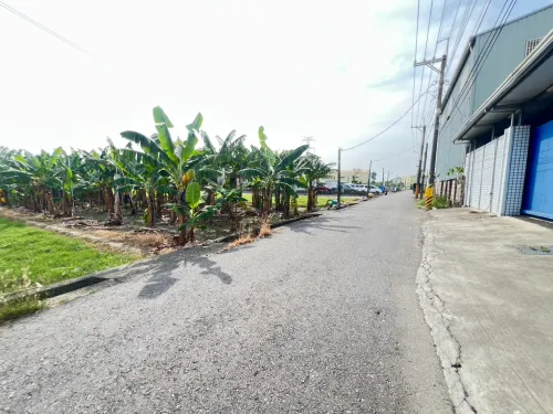 Agricultural land for sale in Daliao District, Kaohsiung City | NT$ 31 000 000 | 623 ping slide 4