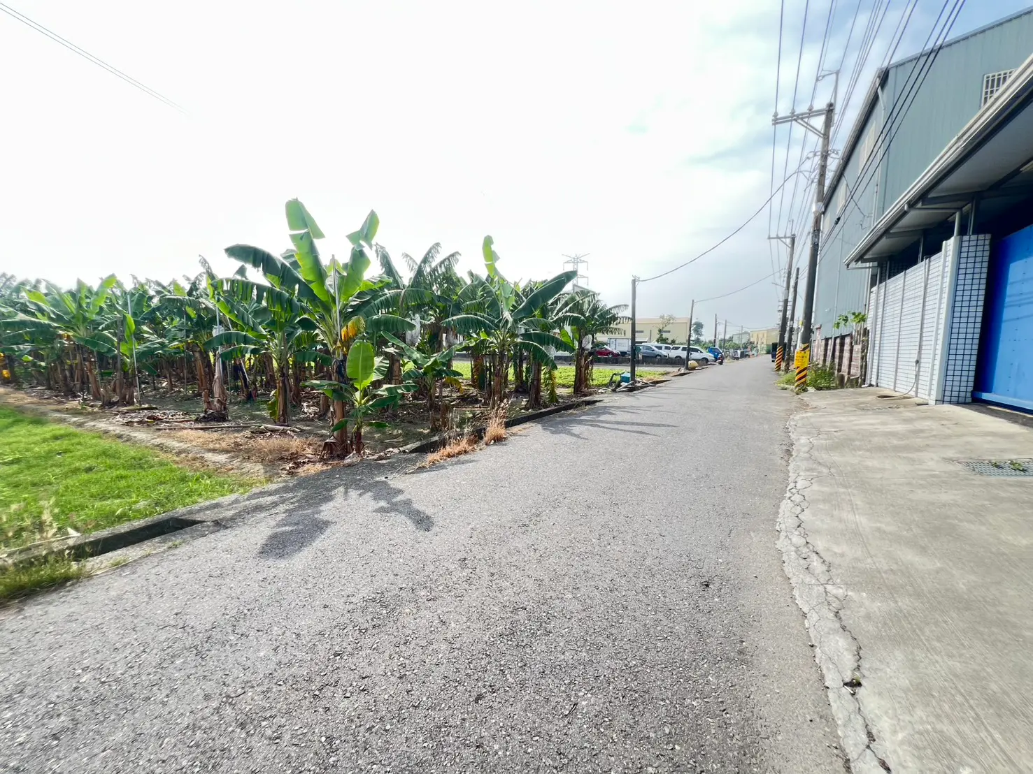 Agricultural land for sale in Daliao District, Kaohsiung City | NT$ 31 000 000 | 623 ping slide 4