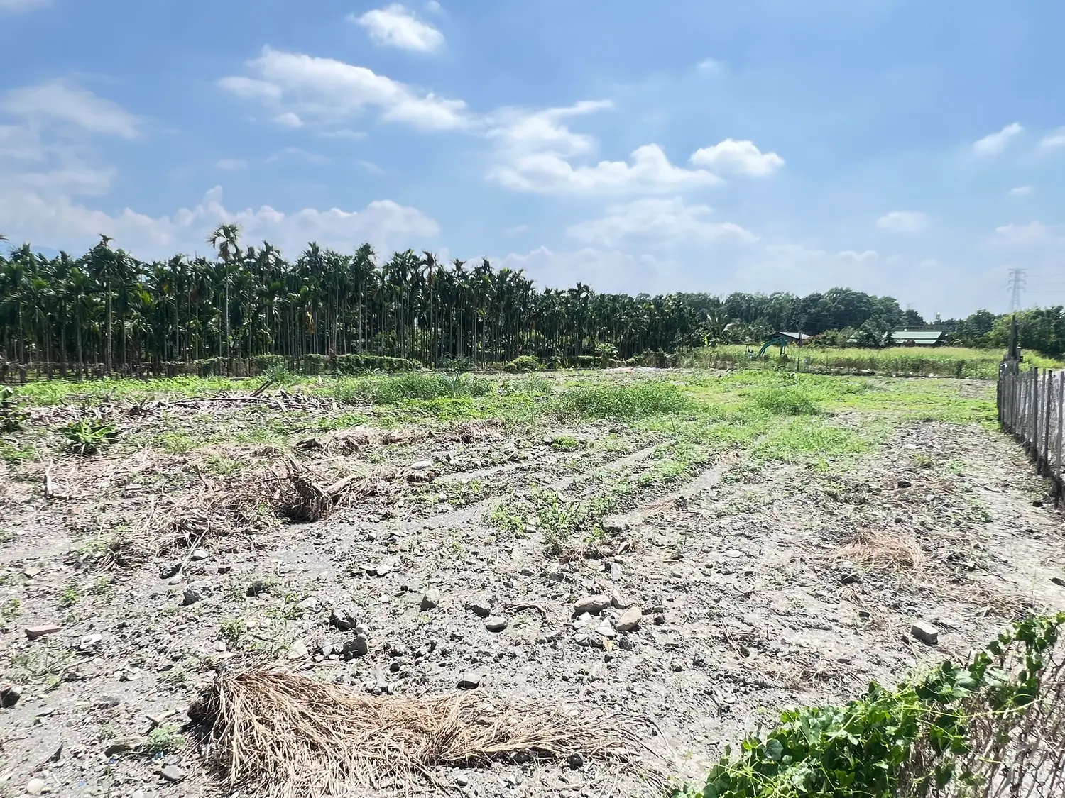 Agricultural land for sale in Neipu Township, Pingtung County | NT$ 12 000 000 | 828 ping slide 5