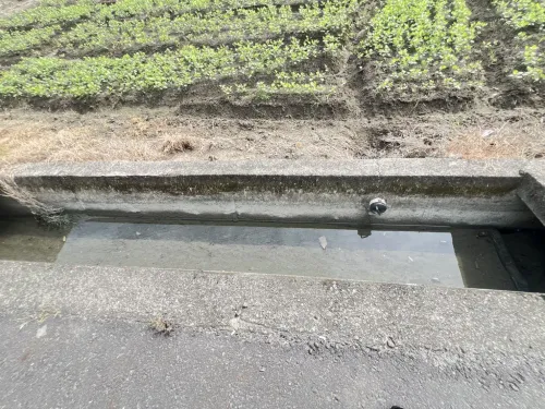 Agricultural land for sale in Daliao District, Kaohsiung City | NT$ 31 000 000 | 623 ping slide 6