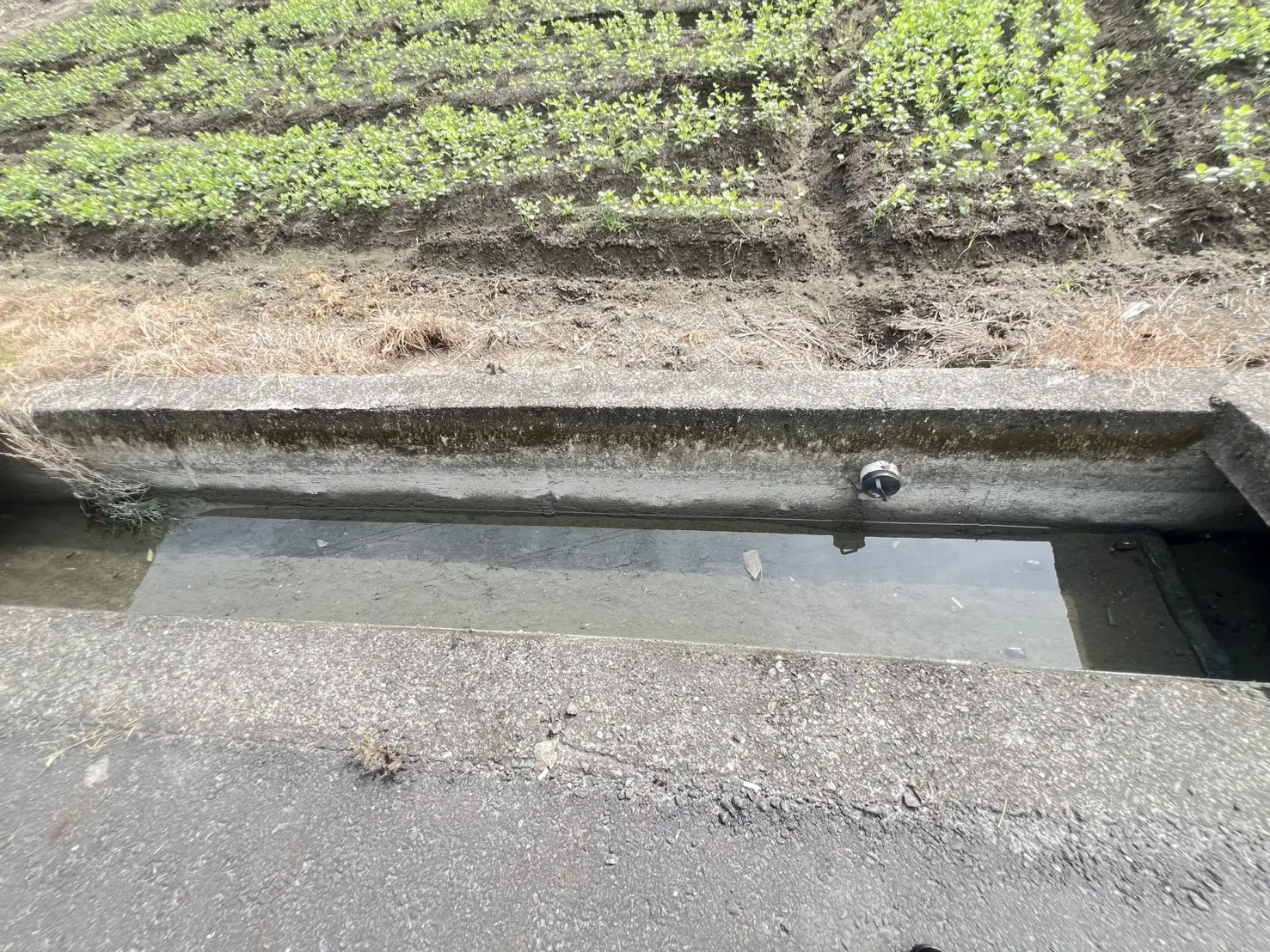 Agricultural land for sale in Daliao District, Kaohsiung City | NT$ 31 000 000 | 623 ping slide 6