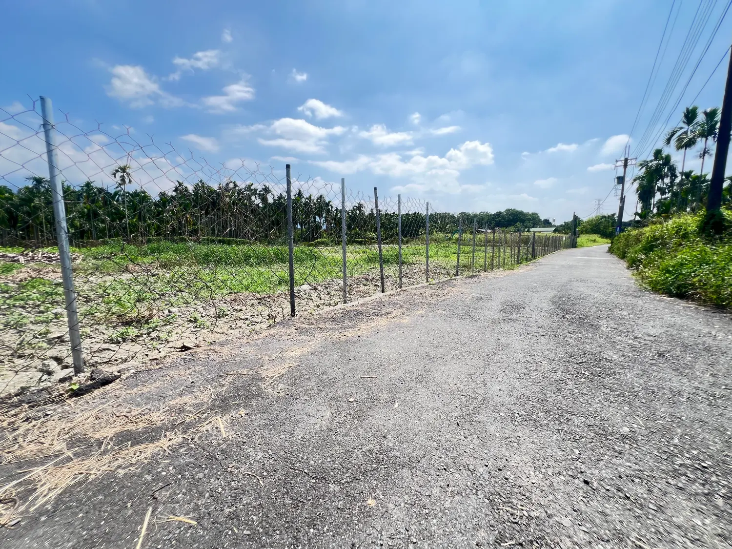 Agricultural land for sale in Neipu Township, Pingtung County | NT$ 12 000 000 | 828 ping slide 7