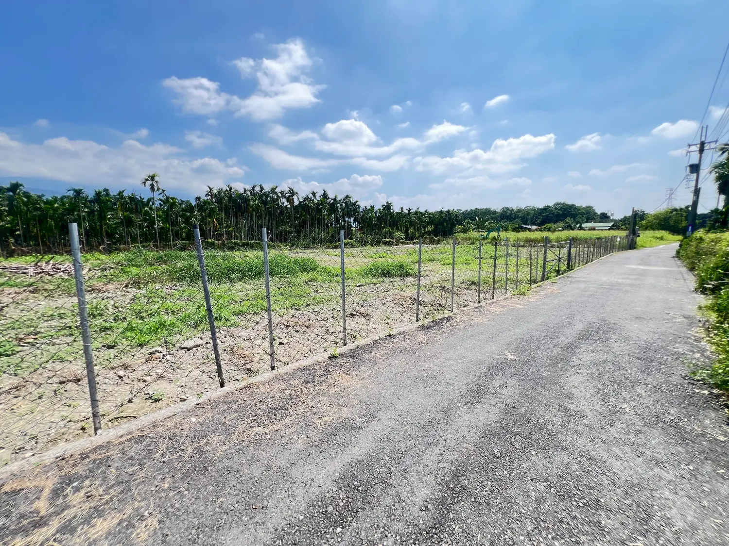 Agricultural land for sale in Neipu Township, Pingtung County | NT$ 12 000 000 | 828 ping slide 9
