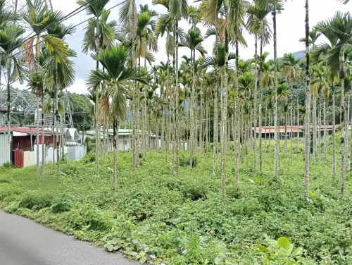 Land for sale NT$ 17 000 000 - 投69鄉道