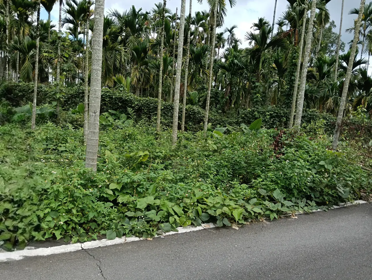 Land for sale in Yuchi Township, Nantou County | NT$ 17 000 000 | 1 776 ping slide 2