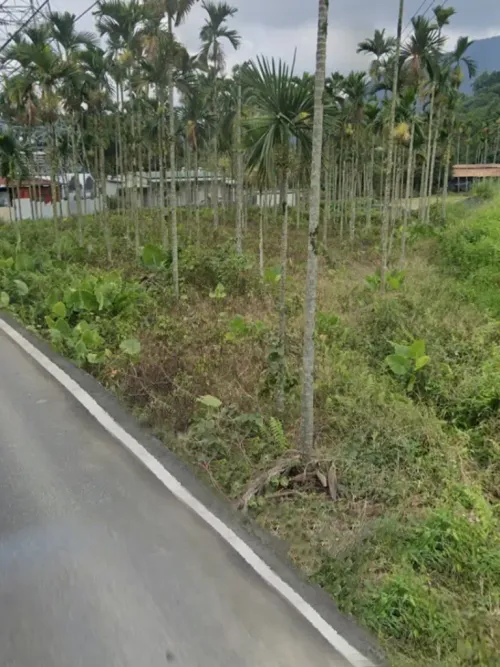Land for sale in Yuchi Township, Nantou County | NT$ 17 000 000 | 1 776 ping slide 4