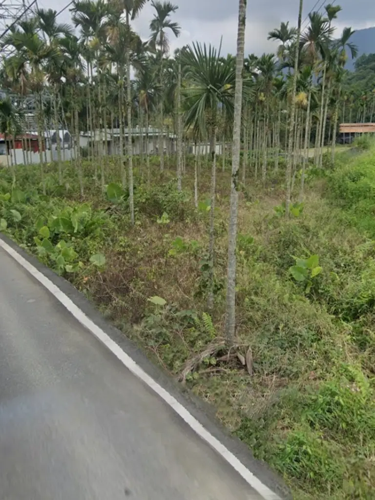 Land for sale in Yuchi Township, Nantou County | NT$ 17 000 000 | 1 776 ping slide 4