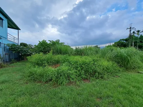 Land for sale in Xinshe District, Taichung City | NT$ 6 100 000 | 99 ping slide 2