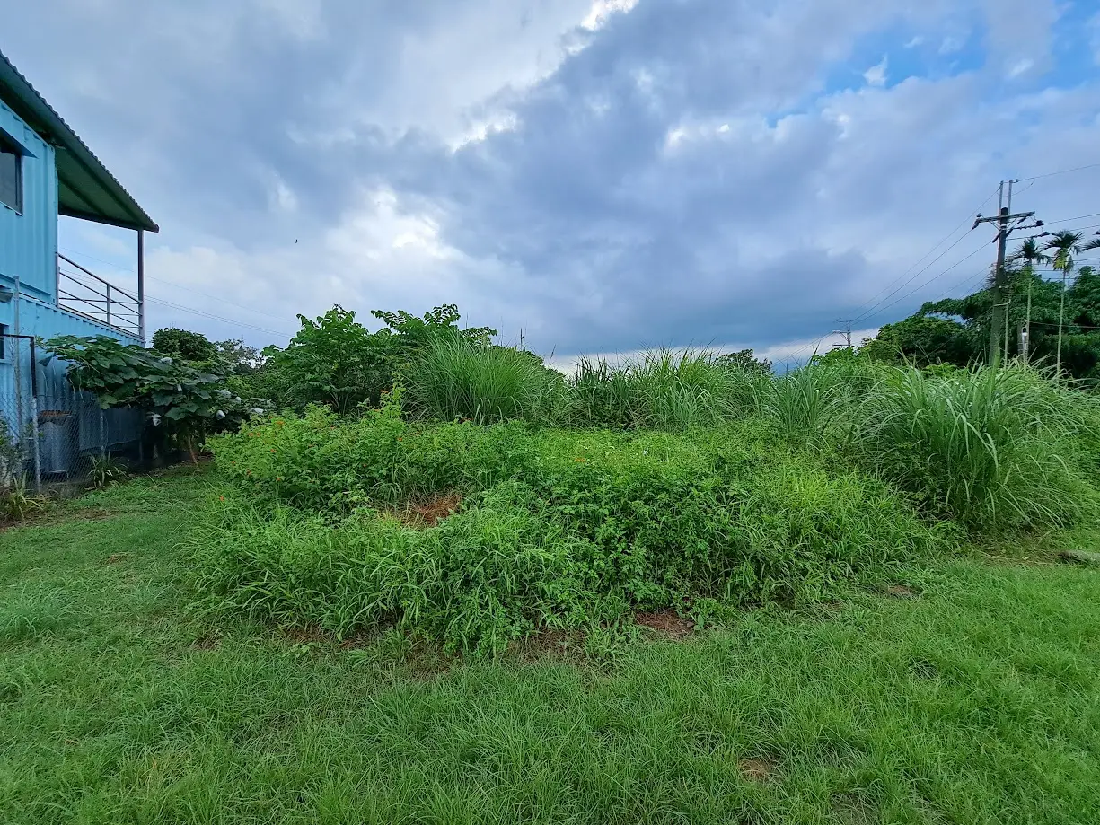 Land for sale in Xinshe District, Taichung City | NT$ 6 100 000 | 99 ping slide 2