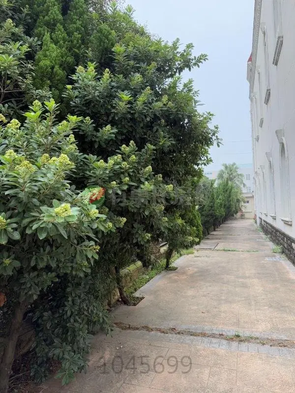 Factory / Industrial for sale in Dajia District, Taichung City | NT$ 300 000 000 | 1 033 ping slide 3