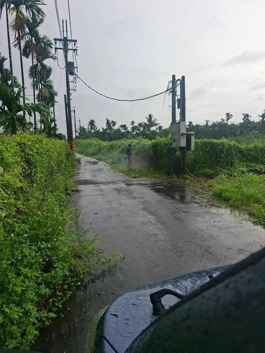 Land for sale in Neipu Township, Pingtung County | NT$ 12 000 000 | 828 ping slide 1