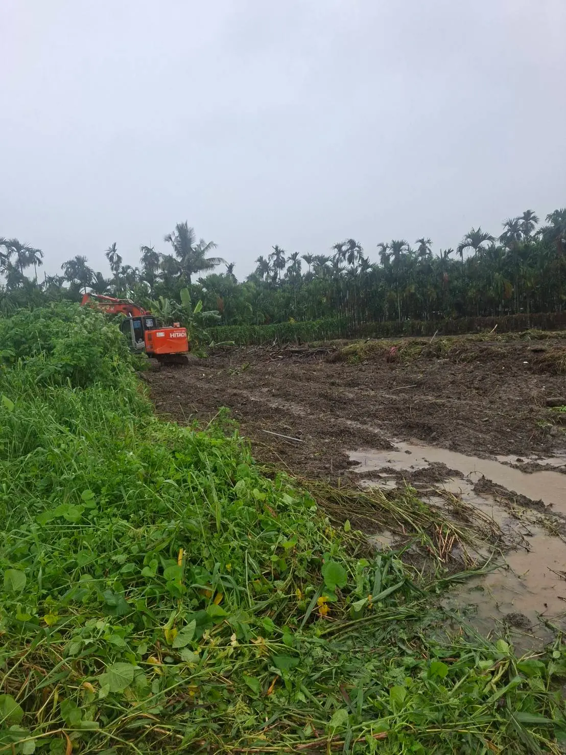Land for sale in Neipu Township, Pingtung County | NT$ 12 000 000 | 828 ping slide 2