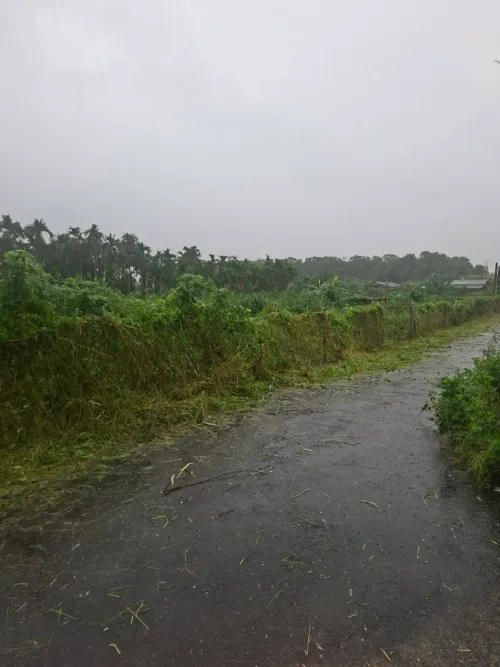 Land for sale in Neipu Township, Pingtung County | NT$ 12 000 000 | 828 ping slide 4
