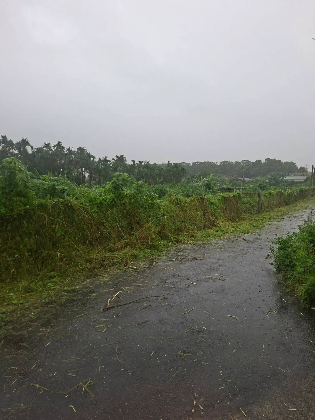 Land for sale in Neipu Township, Pingtung County | NT$ 12 000 000 | 828 ping slide 4