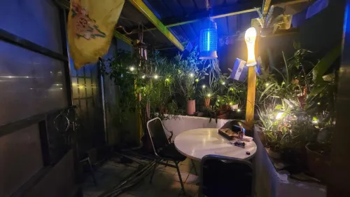 Apartment for rent TWD 46 000 - Jingping Rd - 3 bedrooms