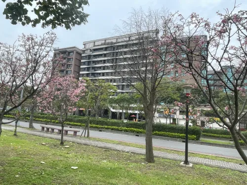 Apartment for rent TWD 40 000 -  - Studio