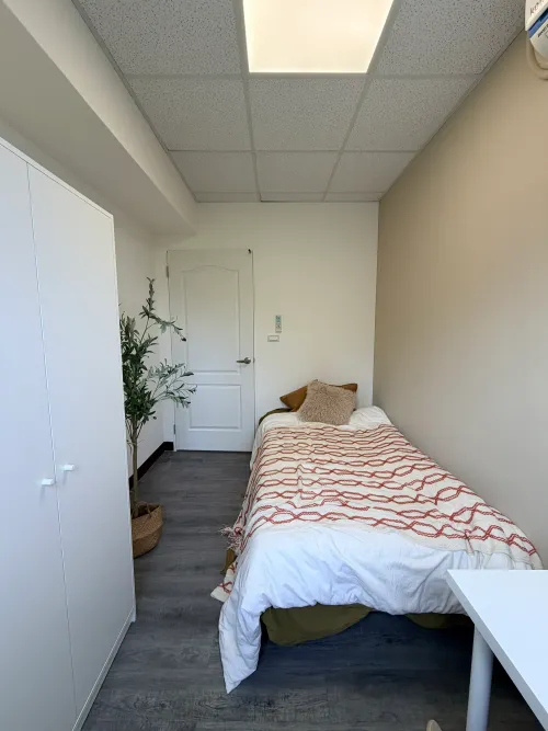 Room for rent NT$ 13 800 - Section 3, Xinsheng North Road - 1 room