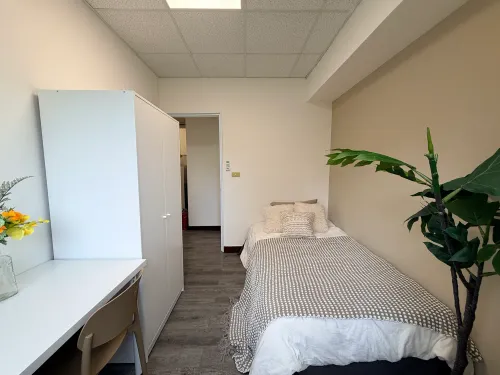 Room for rent NT$ 12 800 - Section 3, Xinsheng North Road - 1 room