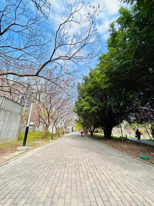Private room for rent TWD 14 800 -  - 1 room