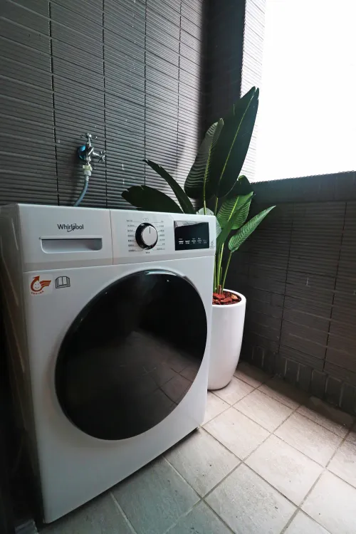 Apartment for rent TWD 63 000 -  - Studio