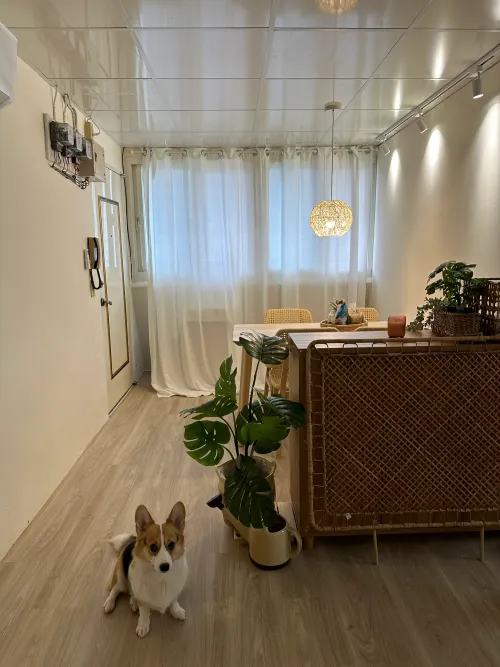 Private room for rent TWD 12 800 -  - 4 bedrooms