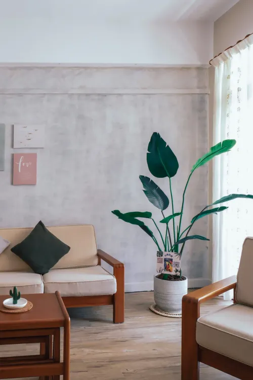 Apartment for rent TWD 75 000 -  - 3 bedrooms
