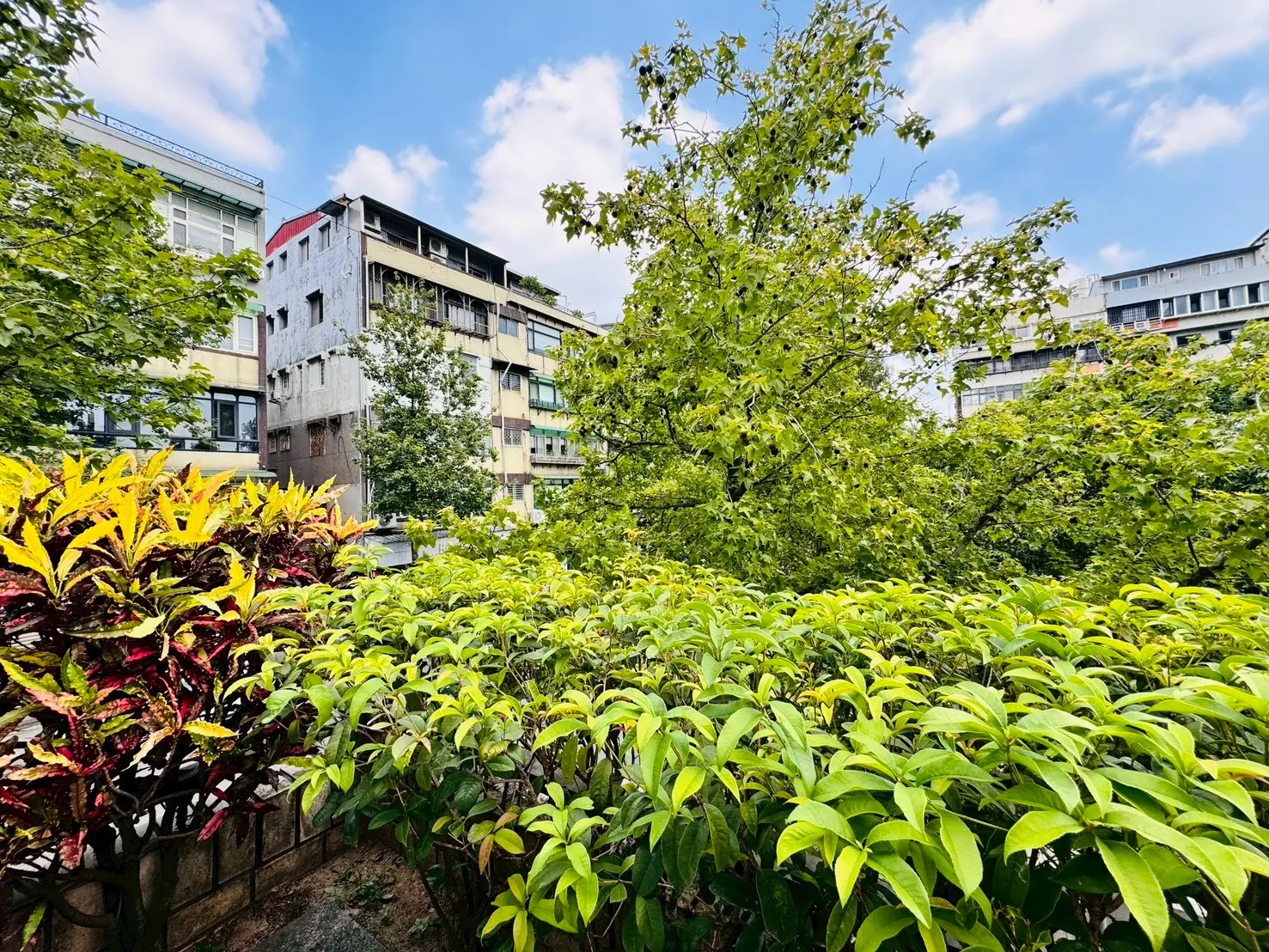 4 bedrooms apartment for sale in Songshan District, Taipei City | NT$ 88 880 000 | 44 ping slide 17