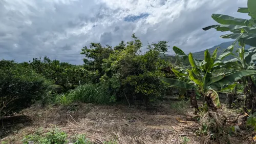 5 bedrooms townhouse for sale in Ruisui Township, Hualien County | TWD 8 880 000 | 15 ping slide 3