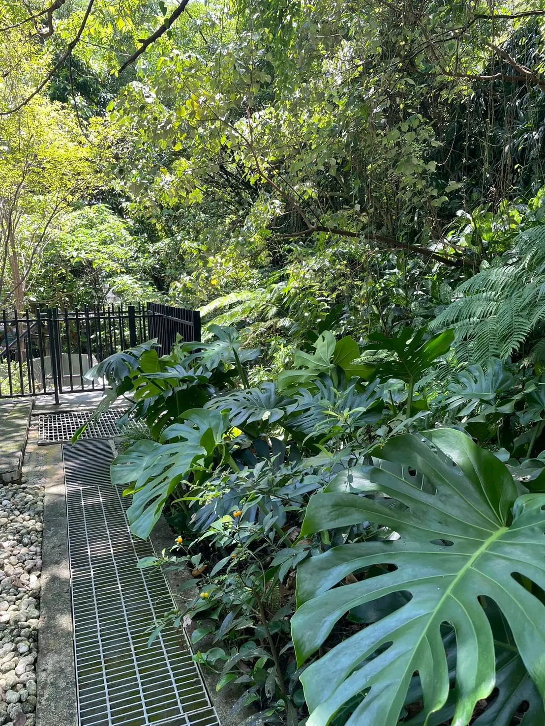 2 bedrooms apartment for rent in Xinyi District, Taipei City | NT$ 55 000 | 13 ping slide 5
