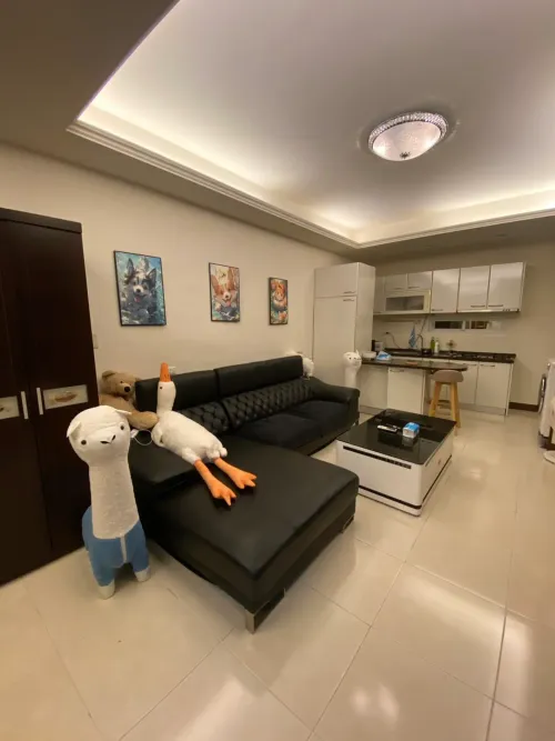 公寓 出租 TWD 36 000 - 民族路二段57巷 - 3 房