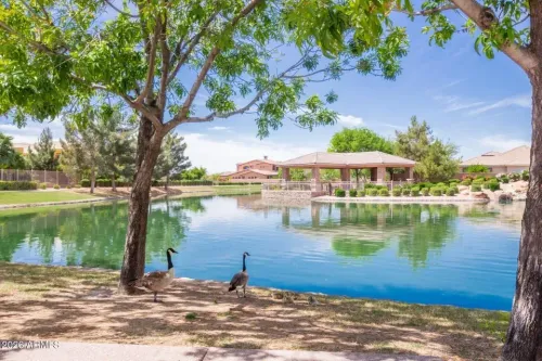 6 bedrooms house for sale in Chandler, Arizona | US$ 1 825 000 | 172 ping slide 67