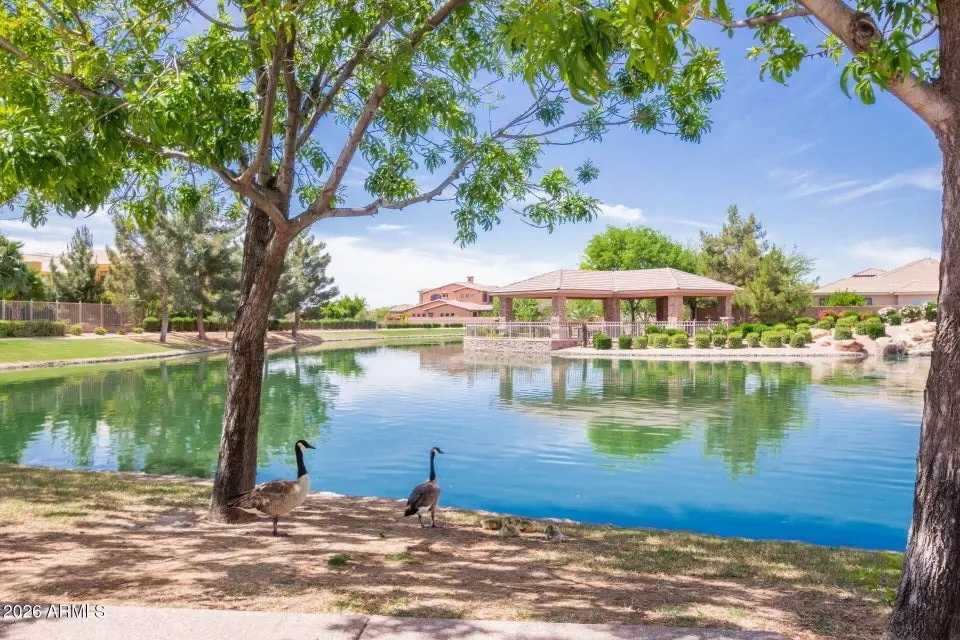 6 bedrooms house for sale in Chandler, Arizona | US$ 1 825 000 | 172 ping slide 67