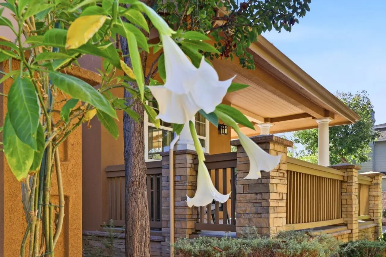 3 bedrooms townhome for sale in Silicon Valley & San Francisco Bay Area, Campbell | US$ 1 388 000 | 50 ping slide 33