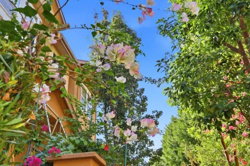 3 bedrooms townhome for sale in Silicon Valley & San Francisco Bay Area, Campbell | US$ 1 388 000 | 50 ping slide 34