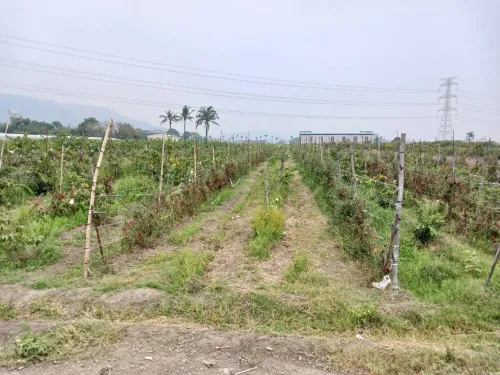 Land for sale NT$ 30 500 000 - Lane 521, Zhongshan Road