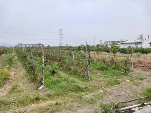 Land for sale in Alian District, Kaohsiung City | NT$ 30 500 000 | 763 ping slide 1