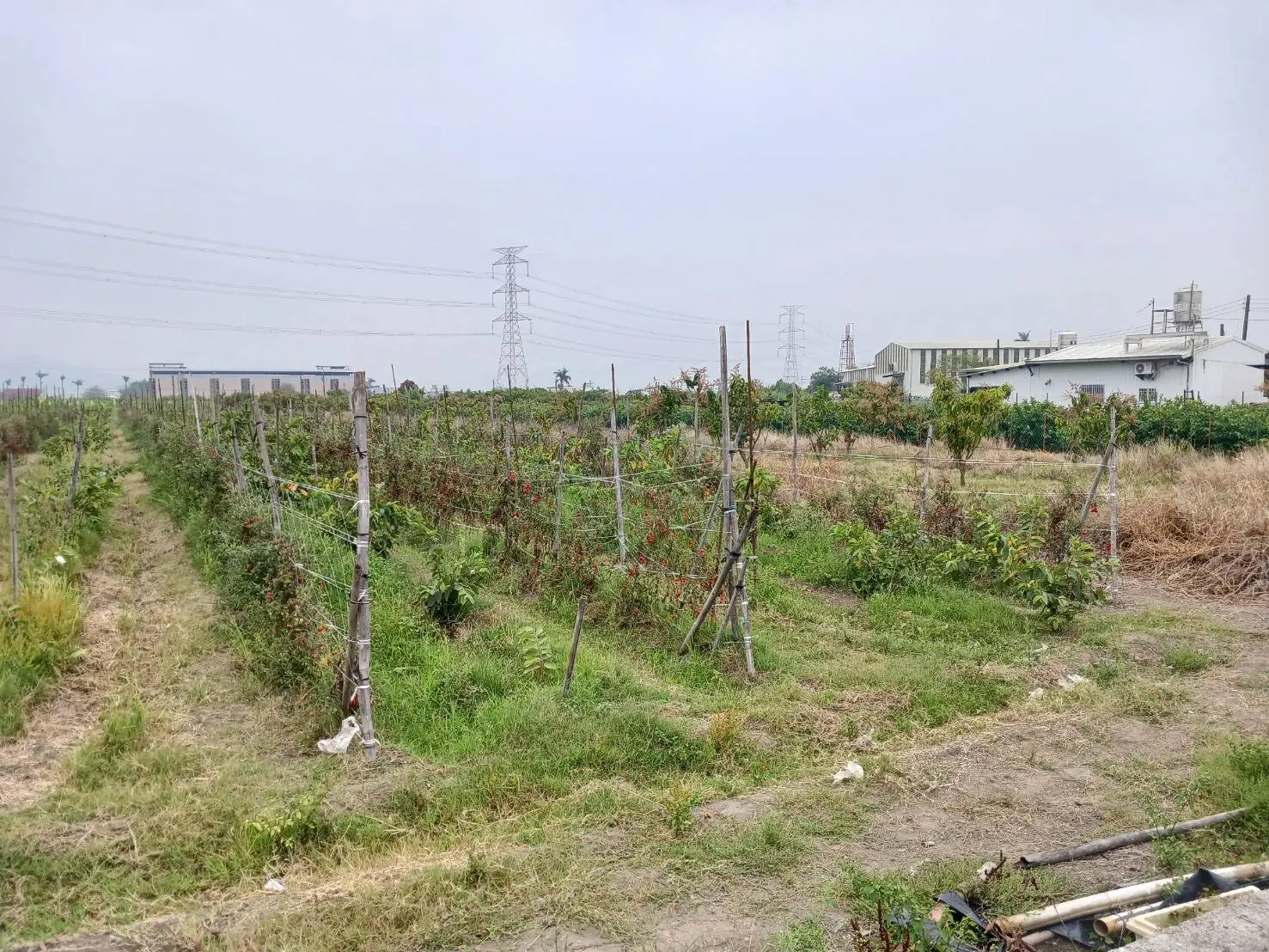 Land for sale in Alian District, Kaohsiung City | NT$ 30 500 000 | 763 ping slide 3