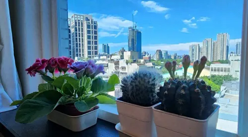 1 room apartment for rent in Taipei City, Daan District | NT$ 49 800 | 7 ping slide 3