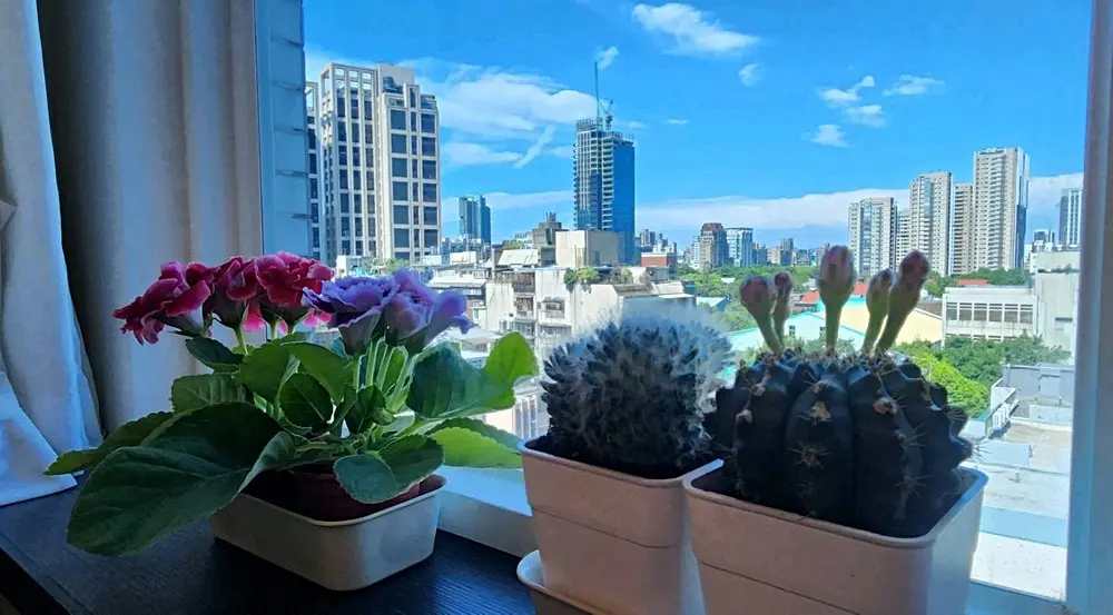 1 room apartment for rent in Taipei City, Daan District | NT$ 49 800 | 7 ping slide 3